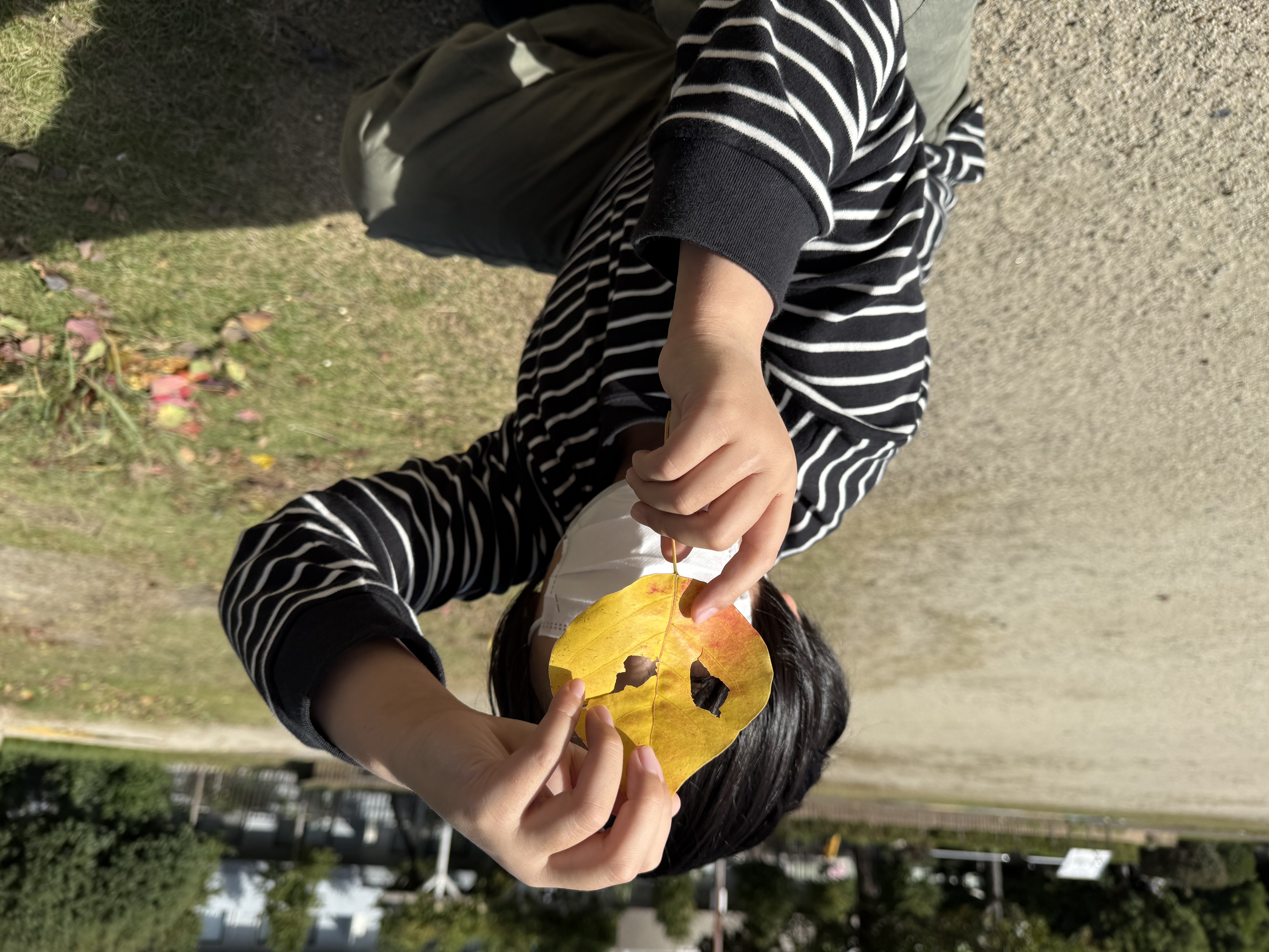 秋見つけ！ 画像