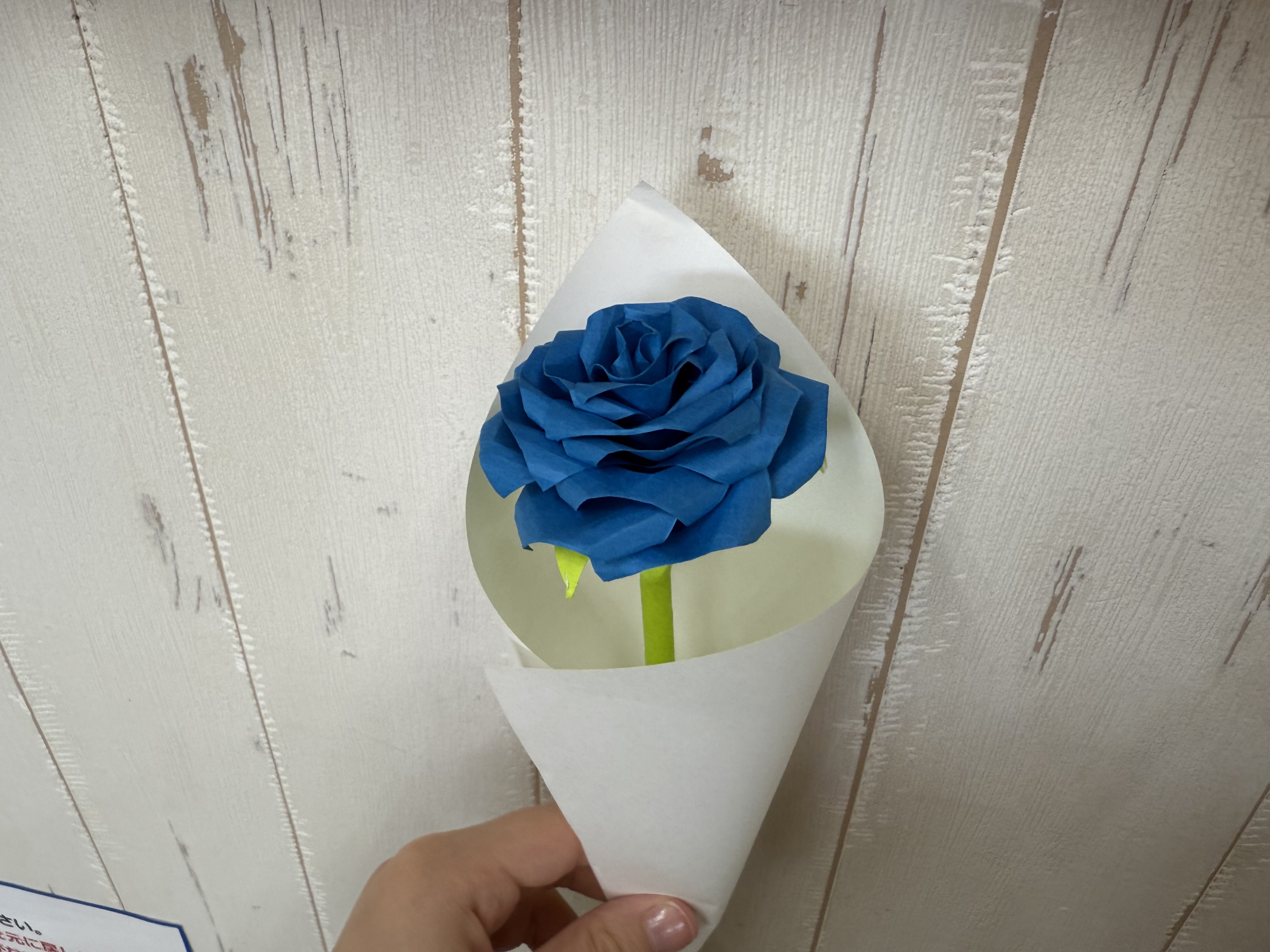 幻の青いバラのプレゼント(^^) 画像