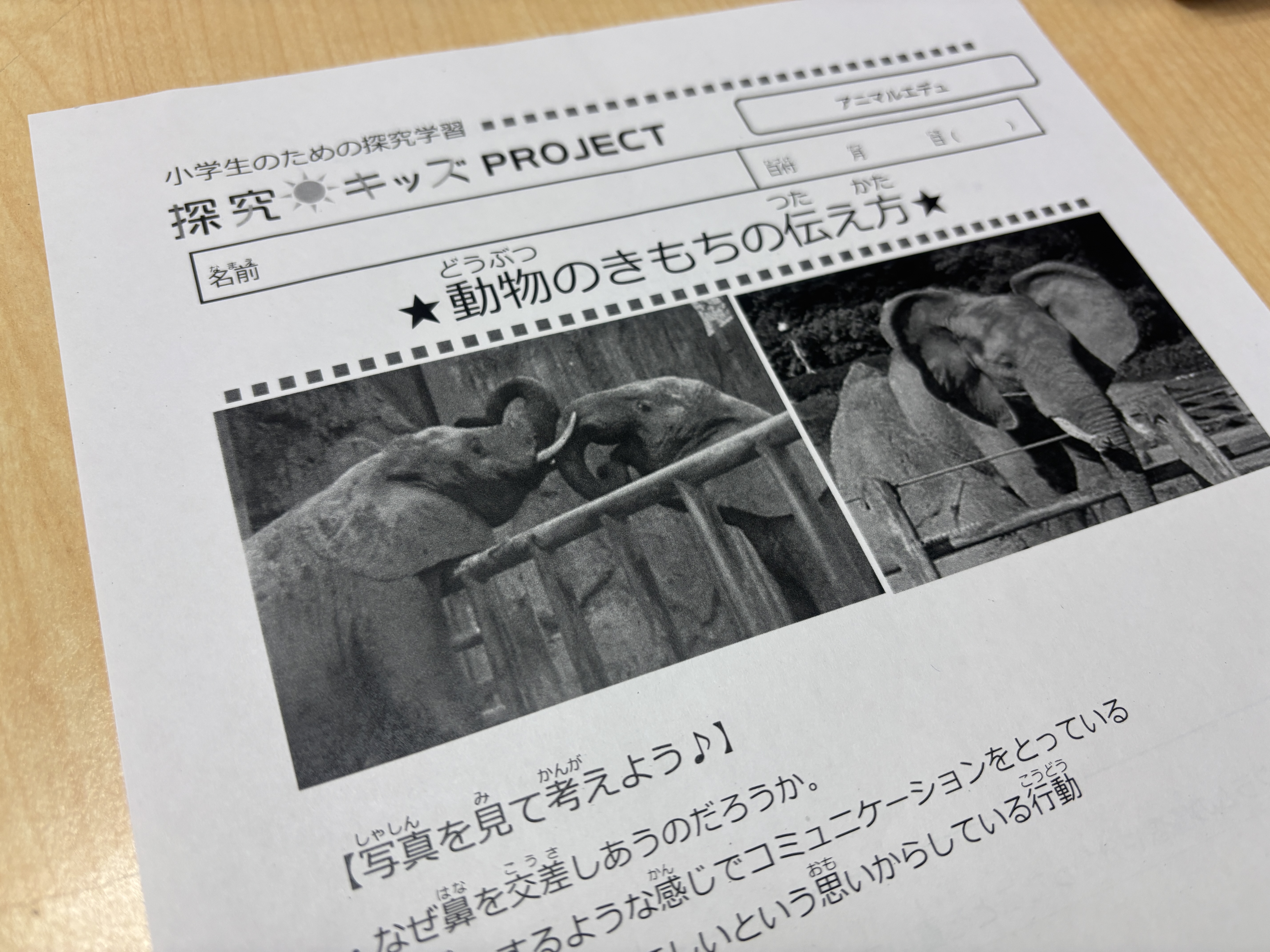 アニマルエデュ【動物のきもちの伝え方】 画像