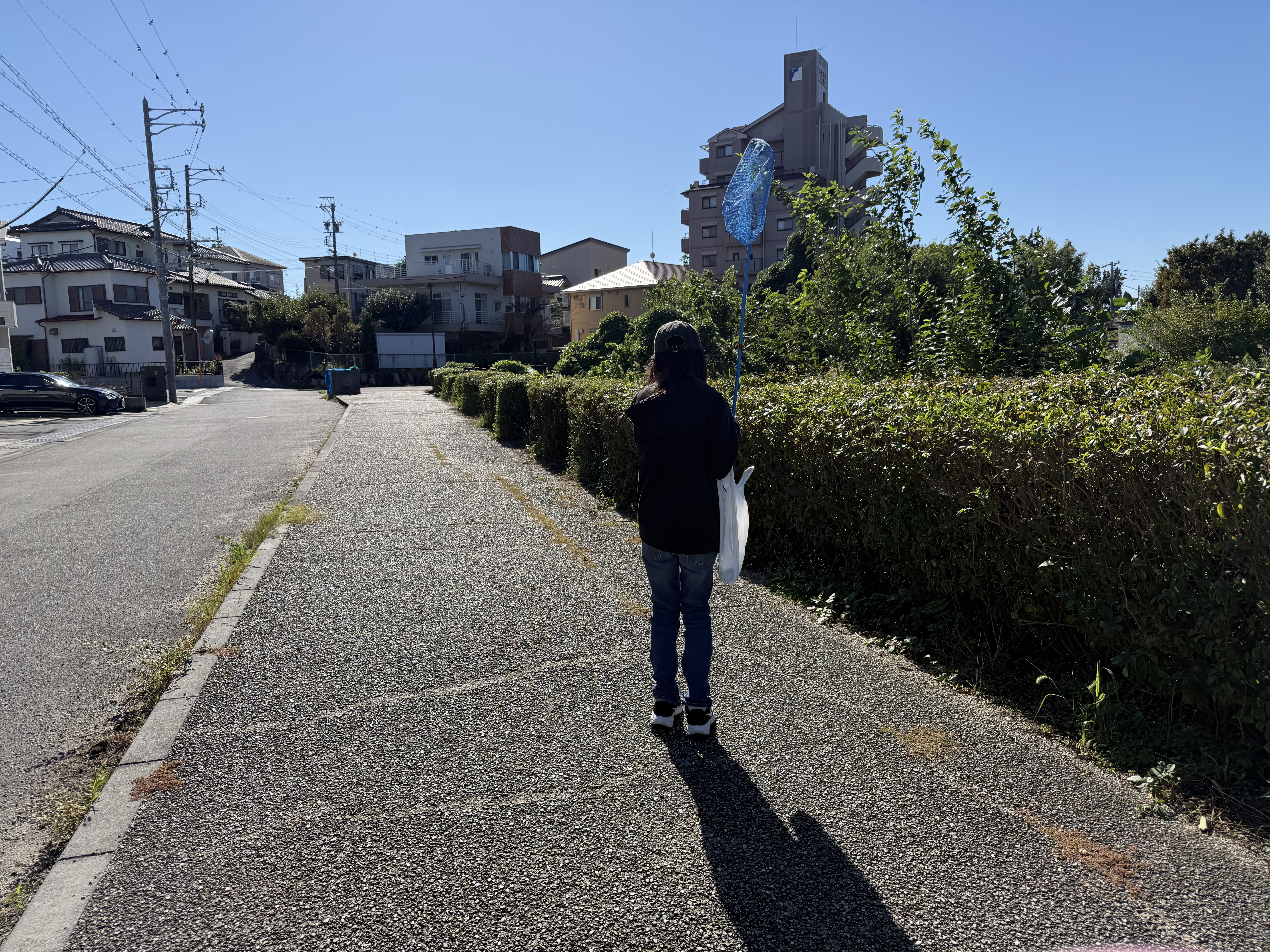 お散歩！ 画像