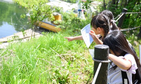 防災・サバイバル 写真