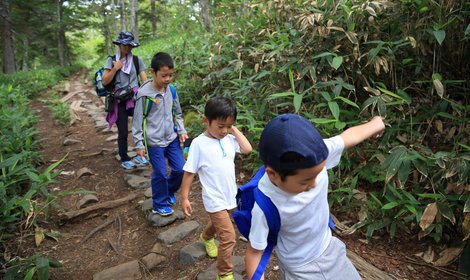 2年生になったら｜20km歩き隊 写真