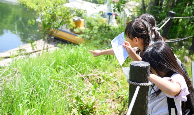 防災・サバイバル 写真